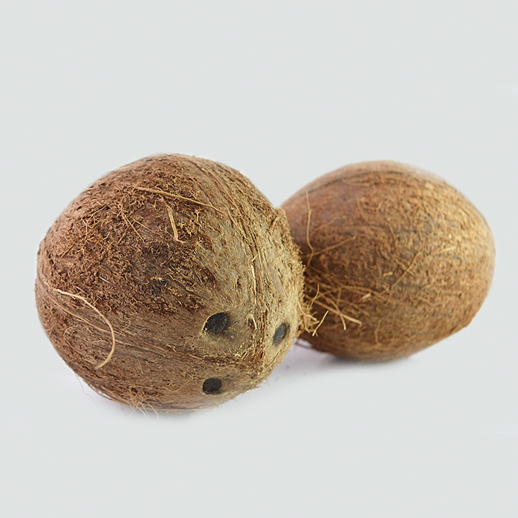coconut-whole-twice