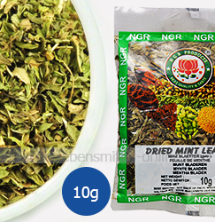 dry-mint-leaves-pudina-ngr-10g