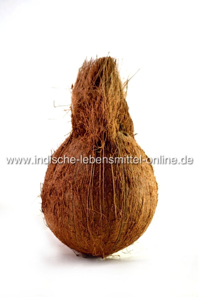 mudi-thengai-coconut-with-tail-680×1020
