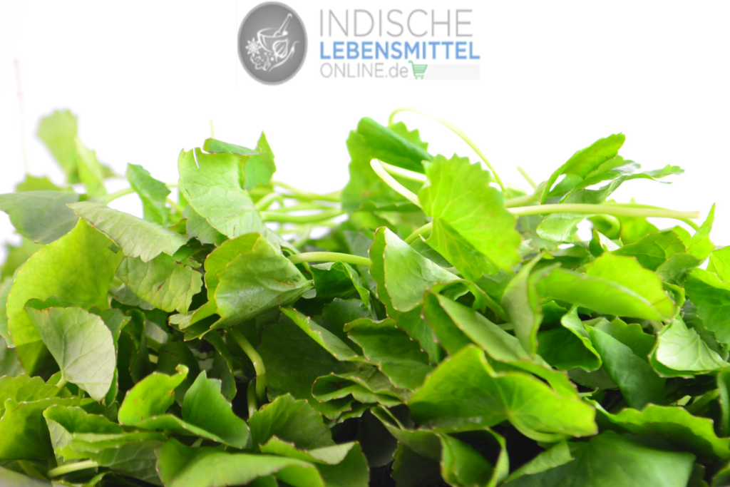 vallarai-leaves-brahmi-Centella-asiatica-Gotu-kola-Indischer-Wassernabel-1024×683